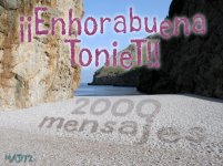 TonieT2000.jpg