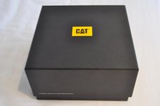 Cat 11.jpg