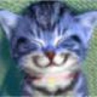 carkat